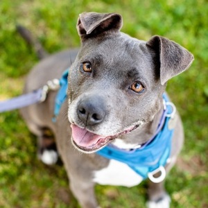 Fundraising Page: Beth Winkler